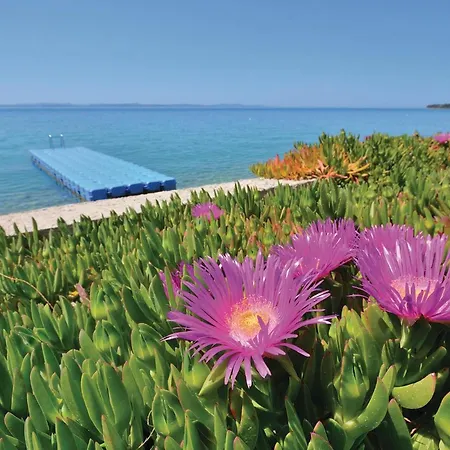 Apartamento 2 Bedroom Gorgeous In